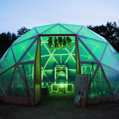 HORTUS TOXICUS – der Geodome im Juni