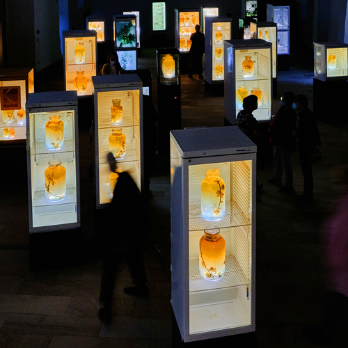 BLÜTEZEIT* Sommerausstellung im DA