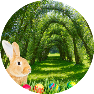 Ostern am DA, Kunsthaus