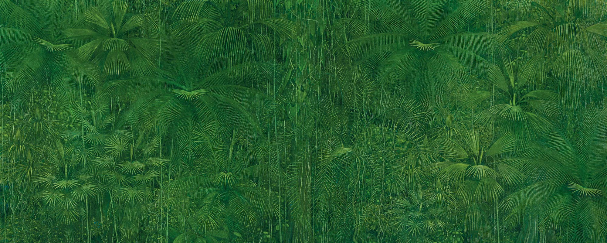 Sommerausstellung BIOPHILIA. Von Pflanzen und Menschen