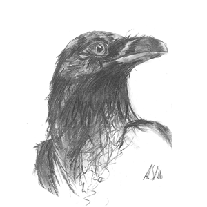 Jugend gestaltet 2026 – der Kreativwettbewerb im kreis Steinfuert