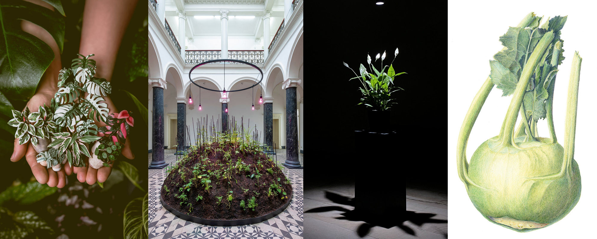 BIOPHILIA, Gemeinschaftsausstellung im DA, Kunsthaus Kloster Gravenhorst u.a. mit Astrid Wilk, Gabriela Oberkofler, Nils Völker und Verena Redmann