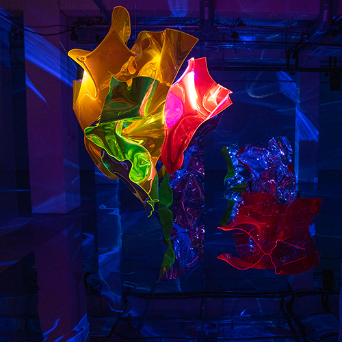 Führung durch die Winterlichtausstellung im DA, Kunsthaus