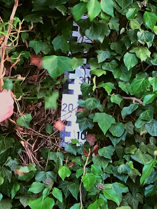 Kunstprojekt Kreisvermessung