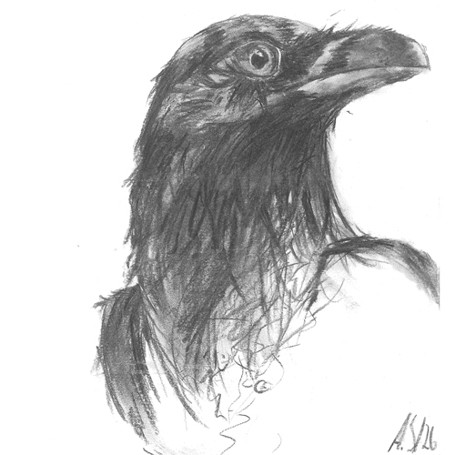 Motiv Jugend gestaltet 2026