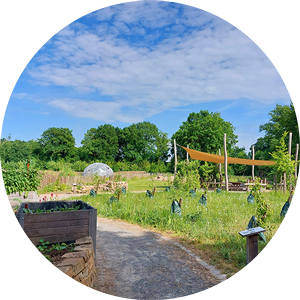 Workshop für Kinder im Lehrgarten Riesenbeck