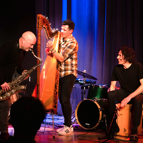 saxyarpa, Foto: Holger Scheb